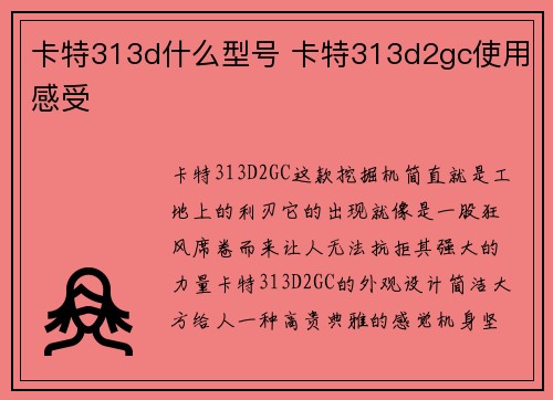 卡特313d什么型号 卡特313d2gc使用感受